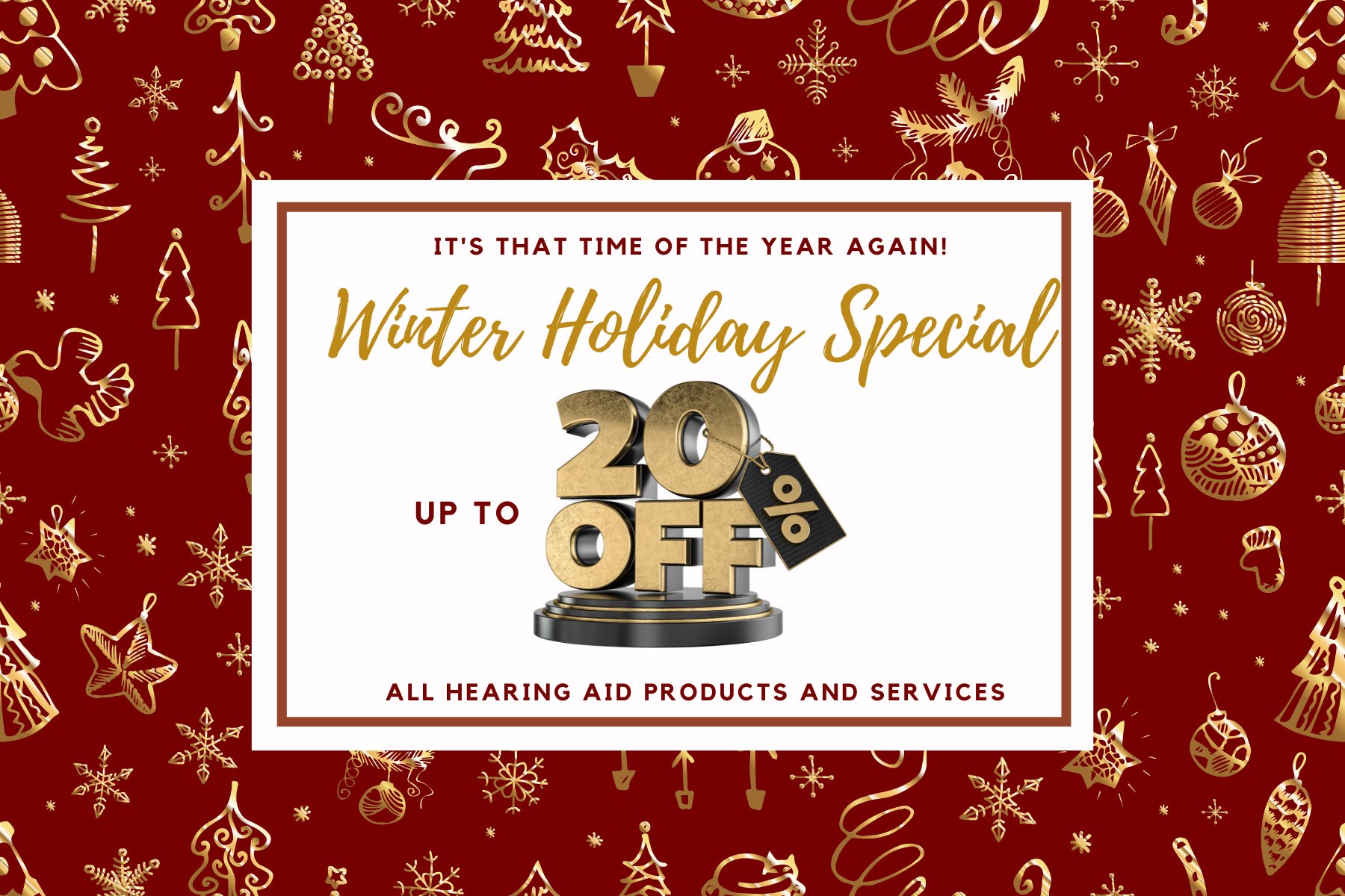 holiday special sale for hearing aids